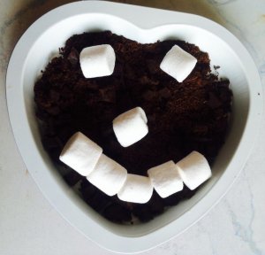 11774299_10205692832657626_1345547288_n