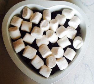 11805730_10205692832857631_301539392_n