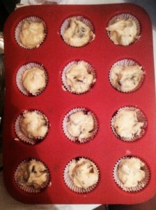 11844080_10205741796241685_114125216_n