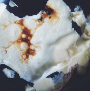 11909738_10205875821552234_1962900933_n