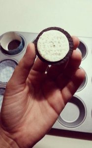 12714071_10206879823491655_1862928330_n