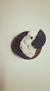 12746135_10206879823611658_1477585415_n